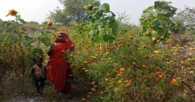 आजीविका मिशन से महिला किसान अमृता की चमकी किस्मत, अब खेती से होती है लाखों की कमाई  