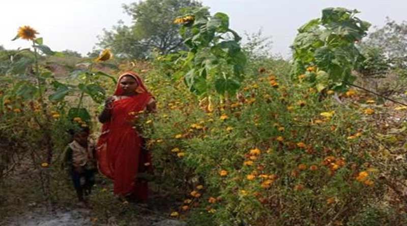 आजीविका मिशन से महिला किसान अमृता की चमकी किस्मत, अब खेती से होती है लाखों की कमाई
