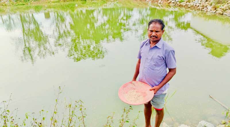 रायपुर : धान के साथ मछली पालन से किसान हिरमाराम की आमदनी हुई दोगुनी,  सालाना बढ़ी एक लाख रुपये तक