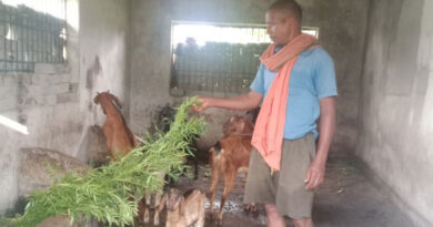 कोरिया के फूलसाय ने बकरी पालन से कमाई बढ़ाई, अब नहीं रहना पड़ता मजदूरी पर निर्भर