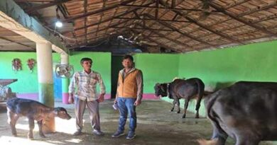 मध्य प्रदेश: राजगढ़ जिले में दुग्ध समृद्धि संपर्क अभियान के तहत 3,162 पशुओं की जानकारी एकत्र, ऐप पर किया जा रहा अपडेट