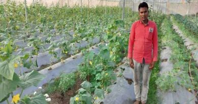 शेडनेट हाउस ने बदली झाबुआ के किसान की तकदीर, दो फसलों में ₹3.49 लाख से अधिक का हुआ शुद्ध लाभ; जानिए कैसे