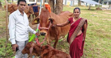 छत्तीसगढ़: बस्तर में 24 जनजातीय महिलाओं को 36 दुधारू पशु वितरित, डेयरी व्यवसाय से बढ़ेगी आमदनी