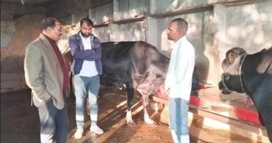 खेती के साथ गौपालन बना कमाई का जरिया, किसान कन्हैयालाल कमा रहे ₹42 हजार महीना