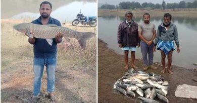 रायपुर: हरिगंवा के किसान ने मछली पालन को बनाया लाभकारी व्यवसाय, सालाना 2 लाख रुपये का मुनाफा