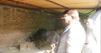 प्रभारी मंत्री लखन पटेल ने दुग्ध उत्पादक किसान से की भेंट, दूध उत्पादन बढ़ाने पर दिया जोर  