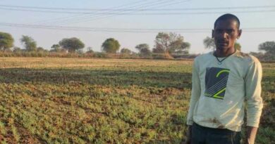 रायपुर: चना की फसल लेने से कम लागत में अधिक फायदा ले रहे किसान