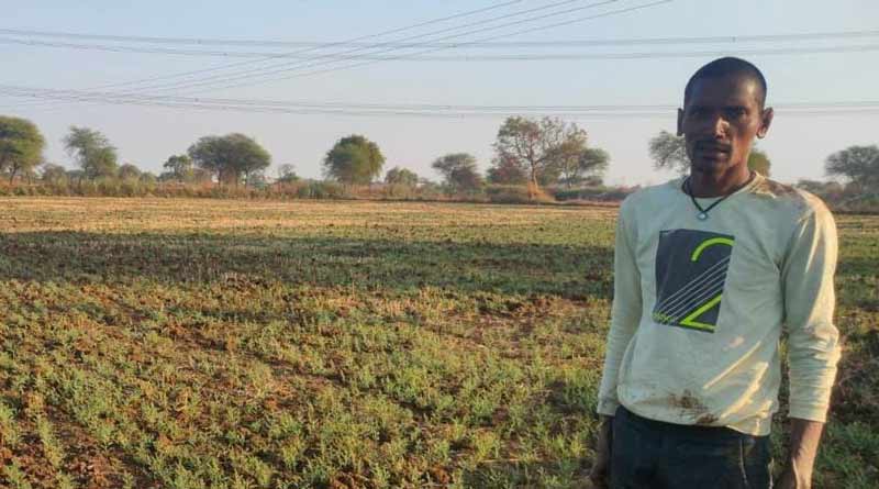 रायपुर: चना की फसल लेने से कम लागत में अधिक फायदा ले रहे किसान