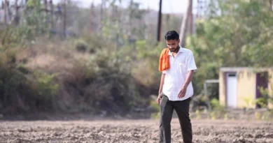 कम पूंजी में शुरू करें बकरी पालन, MP सरकार दे रही 60% तक सब्सिडी; जानिए पूरी योजना