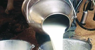 दुग्ध संकलन के साथ किसानों की आय बढ़ाने के लिए हो रहे हैं समन्वित प्रयास