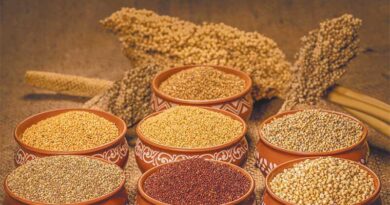 मिलेट्स मिशन - मोटे अनाज हैं पोषण का भण्डार  