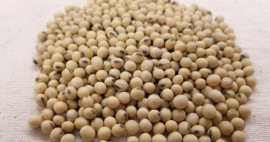 9 दिसंबर का मॉडल रेट 4217 रुपए घोषित