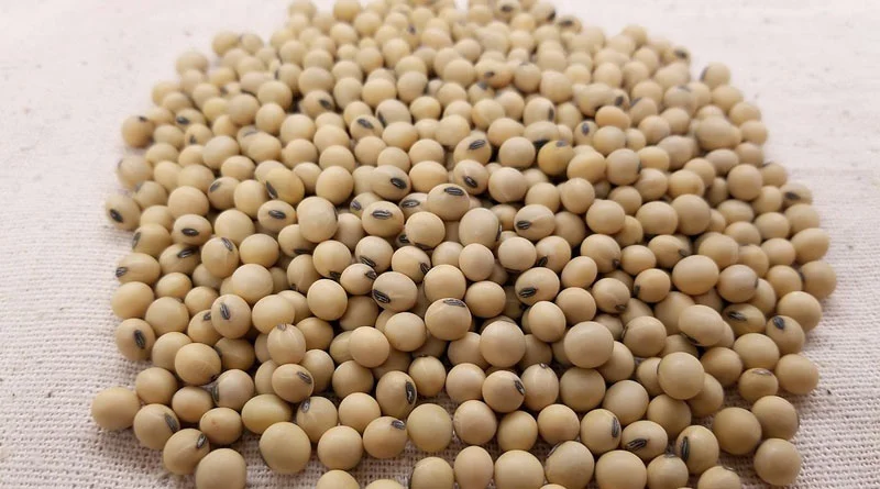 11 दिसंबर का मॉडल रेट 4207 रुपए घोषित