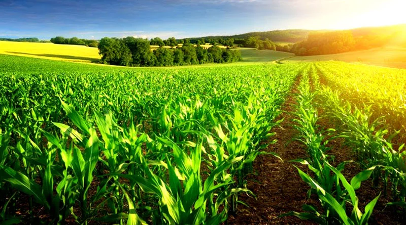 बड़े तालाब में शिकारा सेवा का शुभारंभ, जैविक बाजार बना विशेष आकर्षण