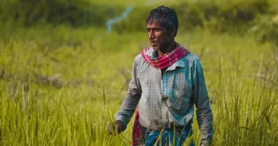 प्रगतिशील किसानों के लिए बड़ा मौका, आत्मा पुरस्कार आवेदन की तिथि 31 जनवरी तक बढ़ी