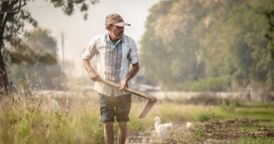 सभी फसलों के लिए उपयुक्त अरबोइंट का एक्सलरेट