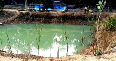 बालाघाट जिले की मुन्नीबाई की खेत तालाब से बदली तक़दीर