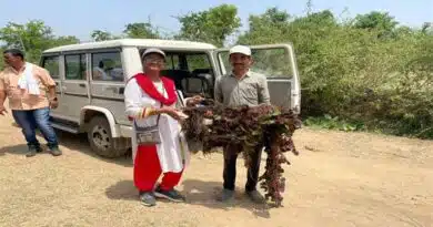 बालाघाट के सिंघाड़ा बीज महाराष्ट्र के किसानों को बनाएंगे आत्मनिर्भर