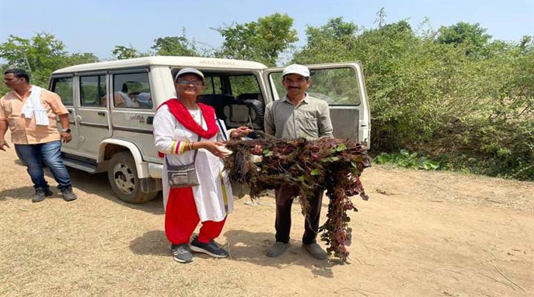 बालाघाट के सिंघाड़ा बीज महाराष्ट्र के किसानों को बनाएंगे आत्मनिर्भर