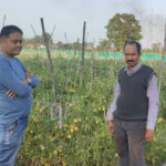 बैतूल जिले के अखिलेश ने उद्यानिकी फसलों को अपनाया, अधिक मुनाफा कमाया