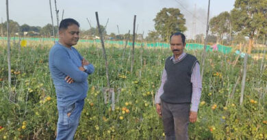 बैतूल जिले के अखिलेश ने उद्यानिकी फसलों को अपनाया, अधिक मुनाफा कमाया