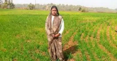 आजीविका मिशन ने बदली छिंदवाड़ा जिले की गुलाबवती दीदी की किस्मत