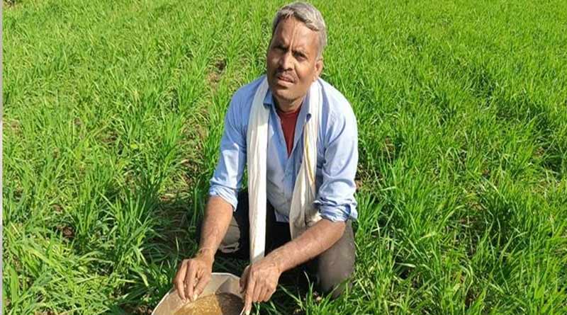 गौ-आधारित प्राकृतिक खेती और स्वस्थ जीवन