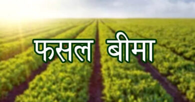 उज्जैन: फसल नुकसान की शिकायत टोल फ्री नंबर 14447 पर दर्ज करवाएं