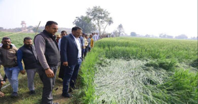 देवास कलेक्टर ने ओलावृष्टि से खराब हुई फसलों का किया निरीक्षण