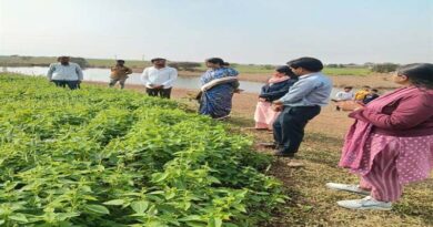 झाबुआ जिले में कृषि में नवाचार की मिसाल बना चिया सीड्स