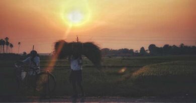 शहडोल जिले में प्रधानमंत्री धन-धान्य कृषि योजना की समीक्षा की गई शहडोल जिले में प्रधानमंत्री धन-धान्य कृषि योजना की समीक्षा की गई