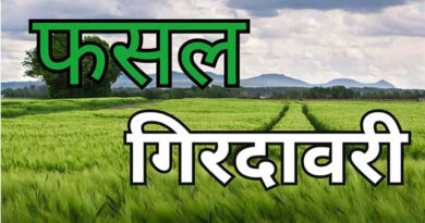फसल गिरदावरी प्रक्रिया हुई डिजिटल, किसान सीधे ऐप पर दर्ज करें अपनी फसल  