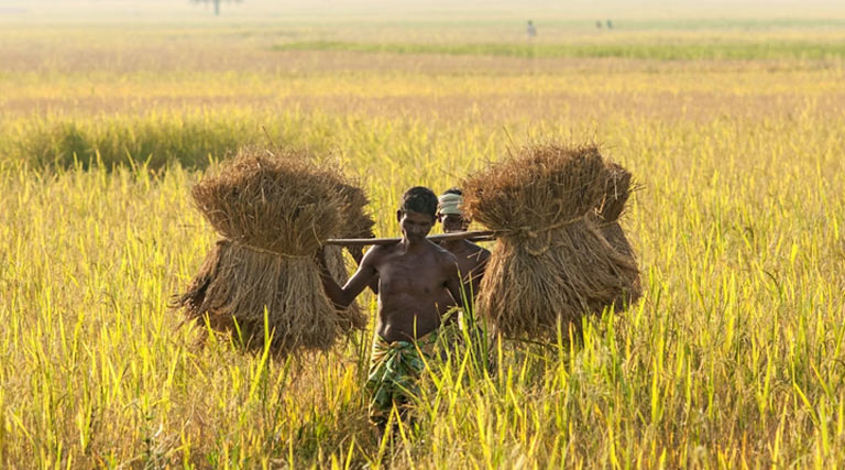 गुना जिले में किसानों को कृषि रथ से दी जा रही कृषि संबंधी जानकारी