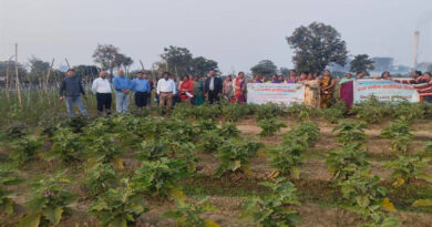 जैविक खेती को बढ़ावा देने कृषि सखियों को दिया प्रशिक्षण