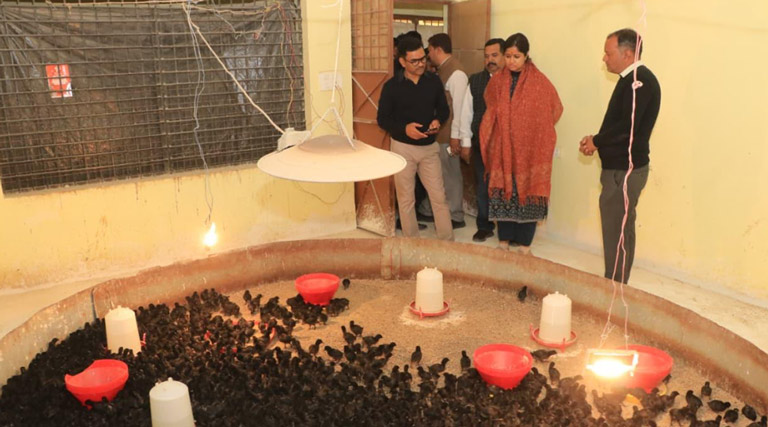 कड़कनाथ झाबुआ की पहचान,एक जिला -एक उत्पाद से राष्ट्रीय-अंतरराष्ट्रीय पहचान की संभावनाएं - डॉ. खाड़े