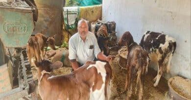 नरसिंहपुर के विजय ने डेयरी को बनाया फायदे का सौदा