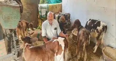 नरसिंहपुर के विजय ने डेयरी को बनाया फायदे का सौदा