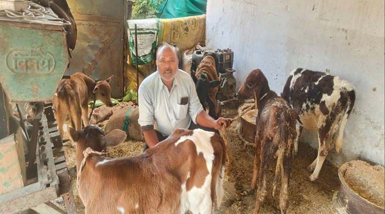 नरसिंहपुर के विजय ने डेयरी को बनाया फायदे का सौदा