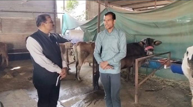 गौपालन कर आर्थिक रूप से आत्मनिर्भर बने जितेंद्र