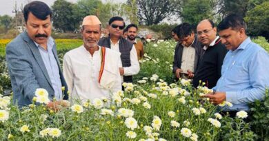 2 एकड़ में फूलों की खेती से 6 लाख कमा रहे किसान सतीश