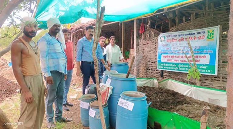 सौंसर के मोरेश्वर की प्राकृतिक खेती से समृद्धि की कहानी