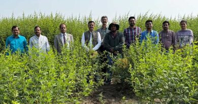 अरहर की खेती में छोटा बदलाव, 20 प्रतिशत तक ज्यादा पैदावार संभव: ICRISAT का अध्ययन अरहर की खेती में छोटा बदलाव, 20 प्रतिशत तक ज्यादा पैदावार संभव: ICRISAT का अध्ययन