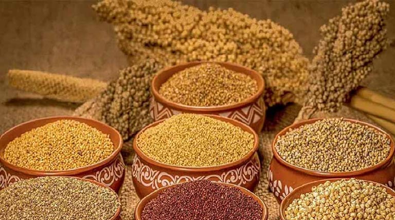 रानी दुर्गावती श्री अन्न प्रोत्साहन योजना: कोदो-कुटकी खरीदी की समय-सीमा बढ़ी, अब 31 जनवरी तक होगी खरीदी