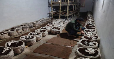 सागर जिले के युवा ने सोशल मीडिया से की मशरूम खेती की शुरुआत