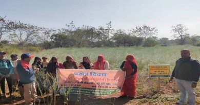 शिवपुरी में सरसों प्रक्षेत्र दिवस का हुआ आयोजन