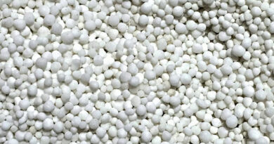 उर्वरक आपूर्ति में बना नया रिकॉर्ड: रेलवे के जरिए पहली बार 500 लाख मीट्रिक टन से अधिक खाद पहुंची किसानों तक