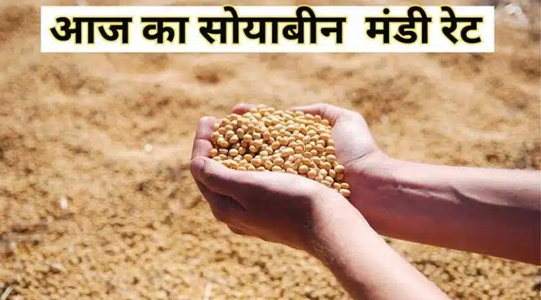 सोयाबीन मंडी रेट (06 जनवरी 2026)