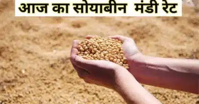 सोयाबीन मंडी रेट (08 जनवरी 2026)