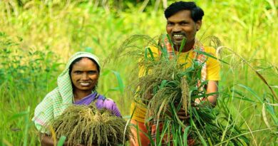 GRAM-2026 को लेकर जोधपुर में 23 जनवरी से विशेष शिविर, किसानों और पशुपालकों को मिलेगा सीधा लाभ  