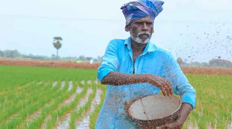खाद सब्सिडी पर सरकार का खर्च कितना बढ़ेगा? ICRA रिपोर्ट में बड़ा अनुमान